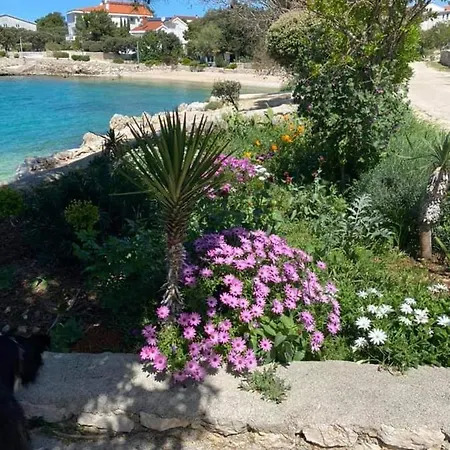 Appartement Apartma Selih - Pag Mandre