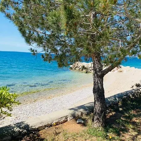 Apartma Selih - Pag