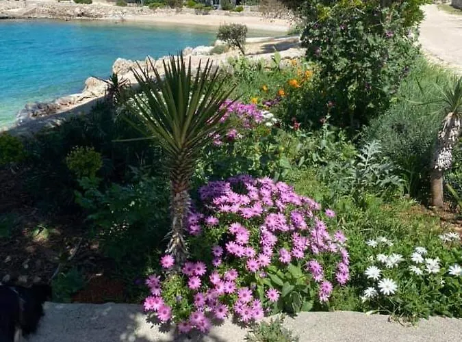 아파트 Apartma Selih - Pag 만드레